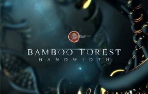Bamboo Forest - Bandwidth (2014) MP3 / 320 kbps